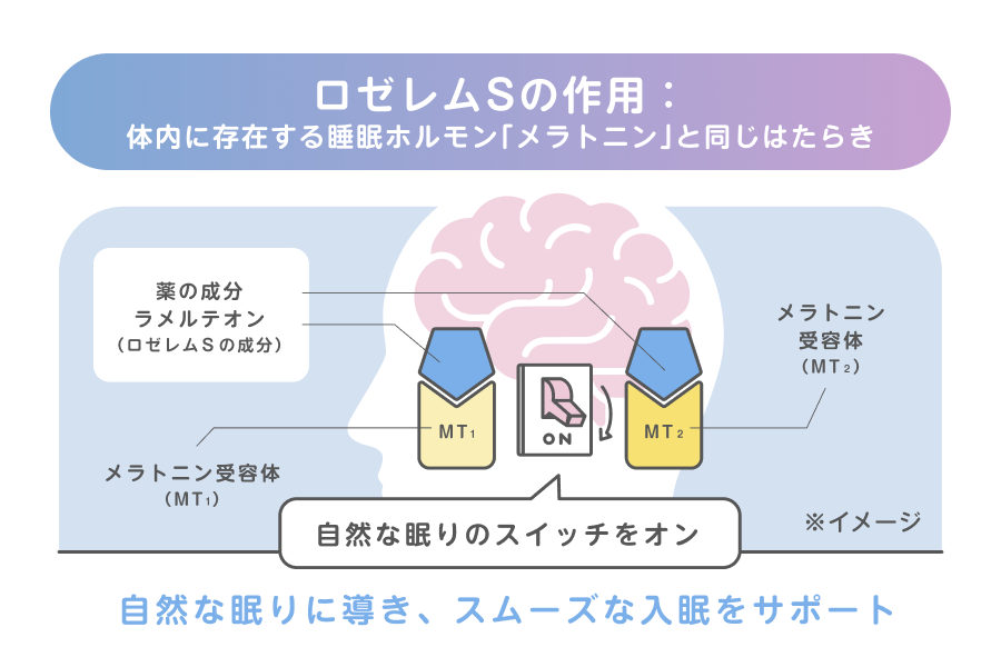 ロゼレムＳの有効成分ラメルテオンが脳内のメラトニン受容体(MT1・MT2)に選択的に作用する仕組みを示した図