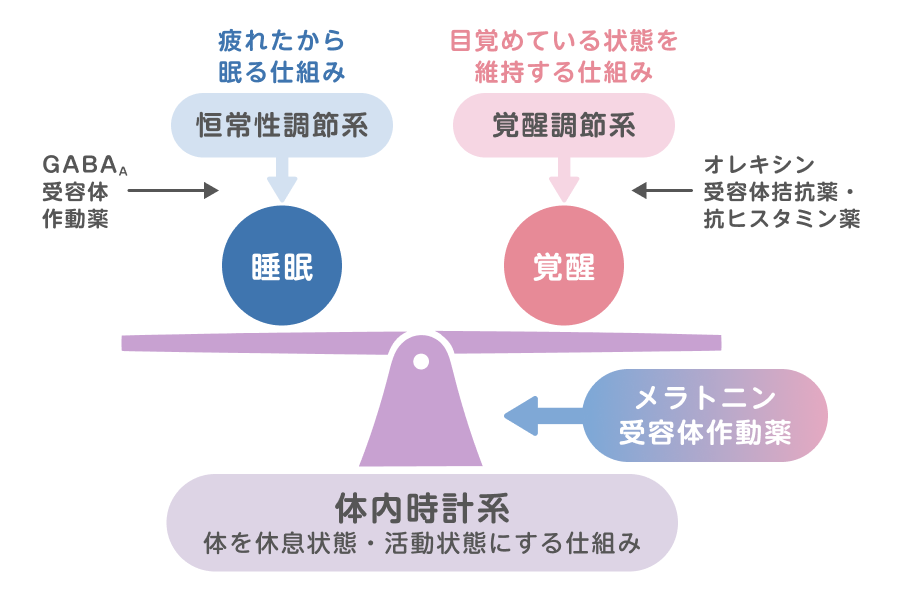 睡眠を構成する3つの仕組み(恒常性調節系・覚醒調整系・体内時計系)の関係図