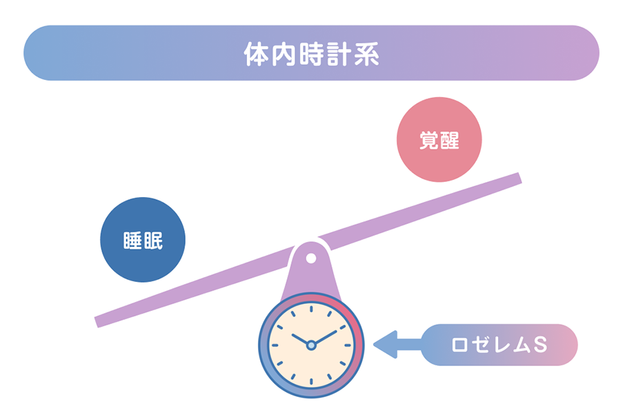 睡眠と覚醒のバランスを体内時計が支える様子をシーソーで表し、ロゼレムＳが睡眠側にはたらきかけるイメージ図