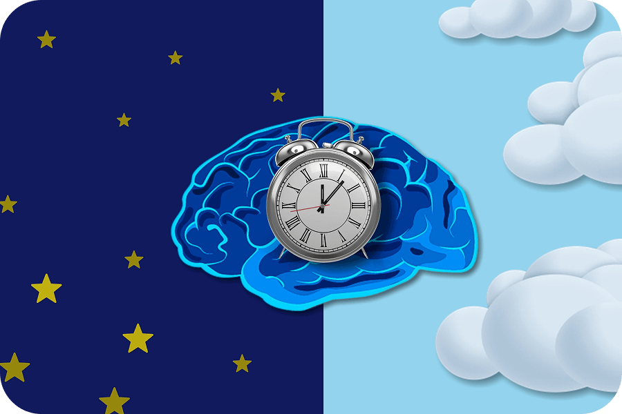約24時間周期でリズムを刻む体内時計と、メラトニンによる睡眠調整の仕組みを示したイメージ図